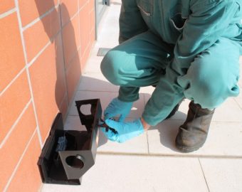 derattizzazione